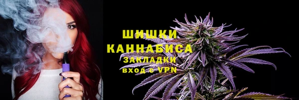 ГАЛЛЮЦИНОГЕННЫЕ ГРИБЫ Белоозёрский