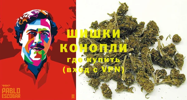 кокс Белокуриха