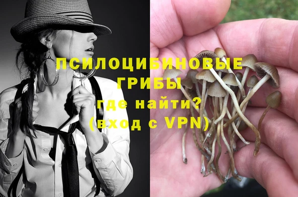 ГАЛЛЮЦИНОГЕННЫЕ ГРИБЫ Белоозёрский