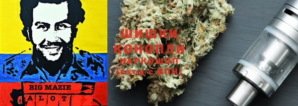 кокс Белокуриха