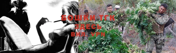 ГАЛЛЮЦИНОГЕННЫЕ ГРИБЫ Белоозёрский