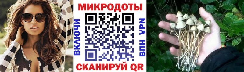 гидра ссылка  Ермолино  Галлюциногенные грибы Psilocybe 